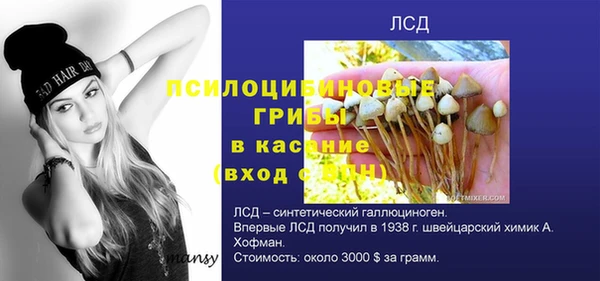 кокс Аркадак