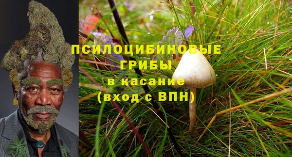 дурь Арсеньев